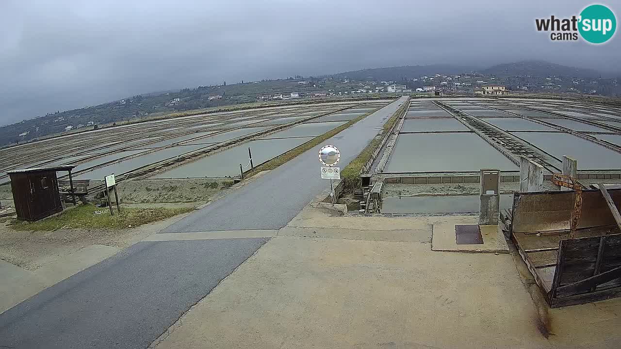 Park prirode Sečovlje Salina