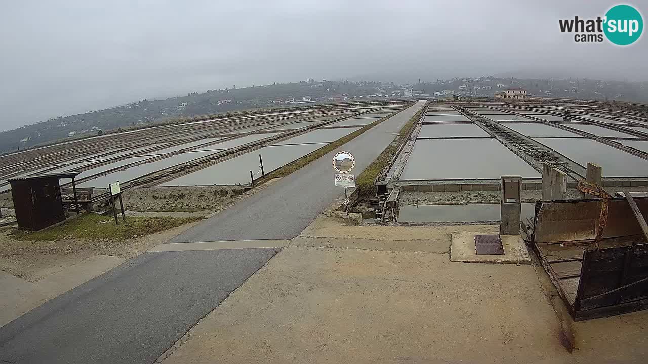 Sečovlje Salina Parque Natural