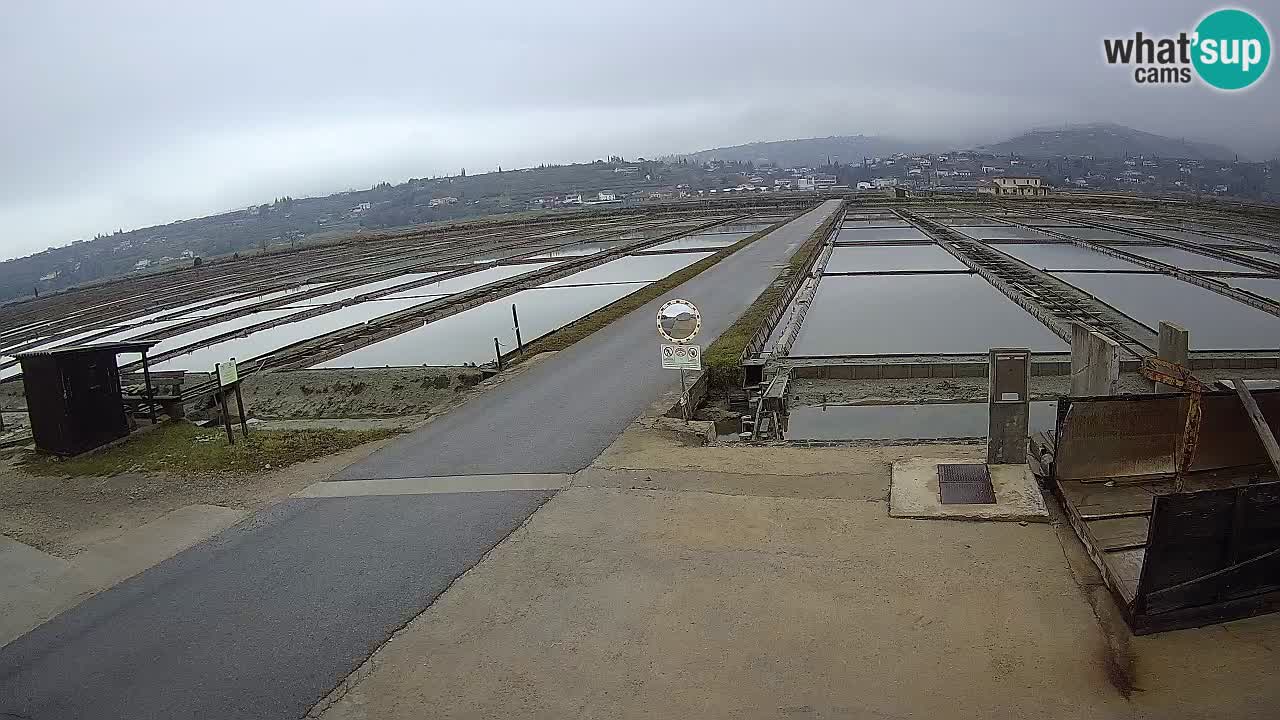 Sečovlje Salina Parque Natural