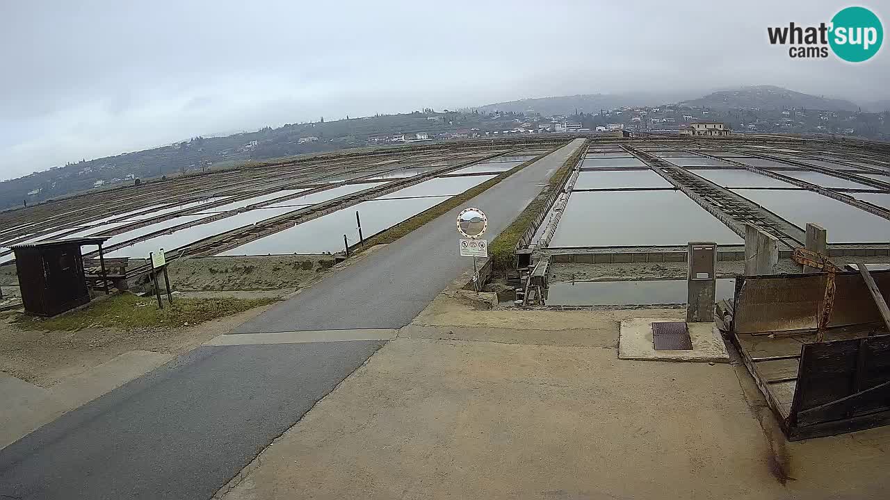 Sečovlje Salina Parque Natural