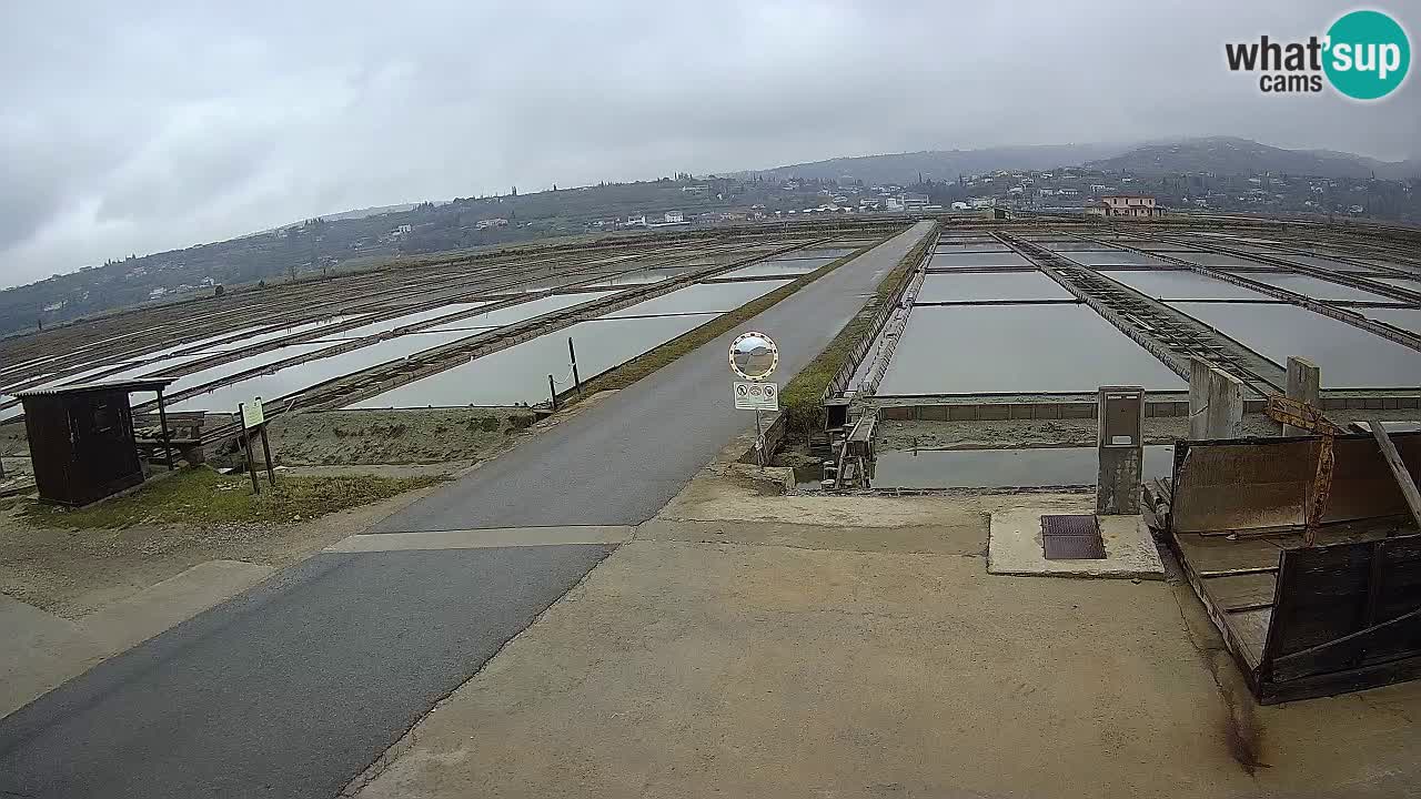 Sečovlje Salina Parque Natural