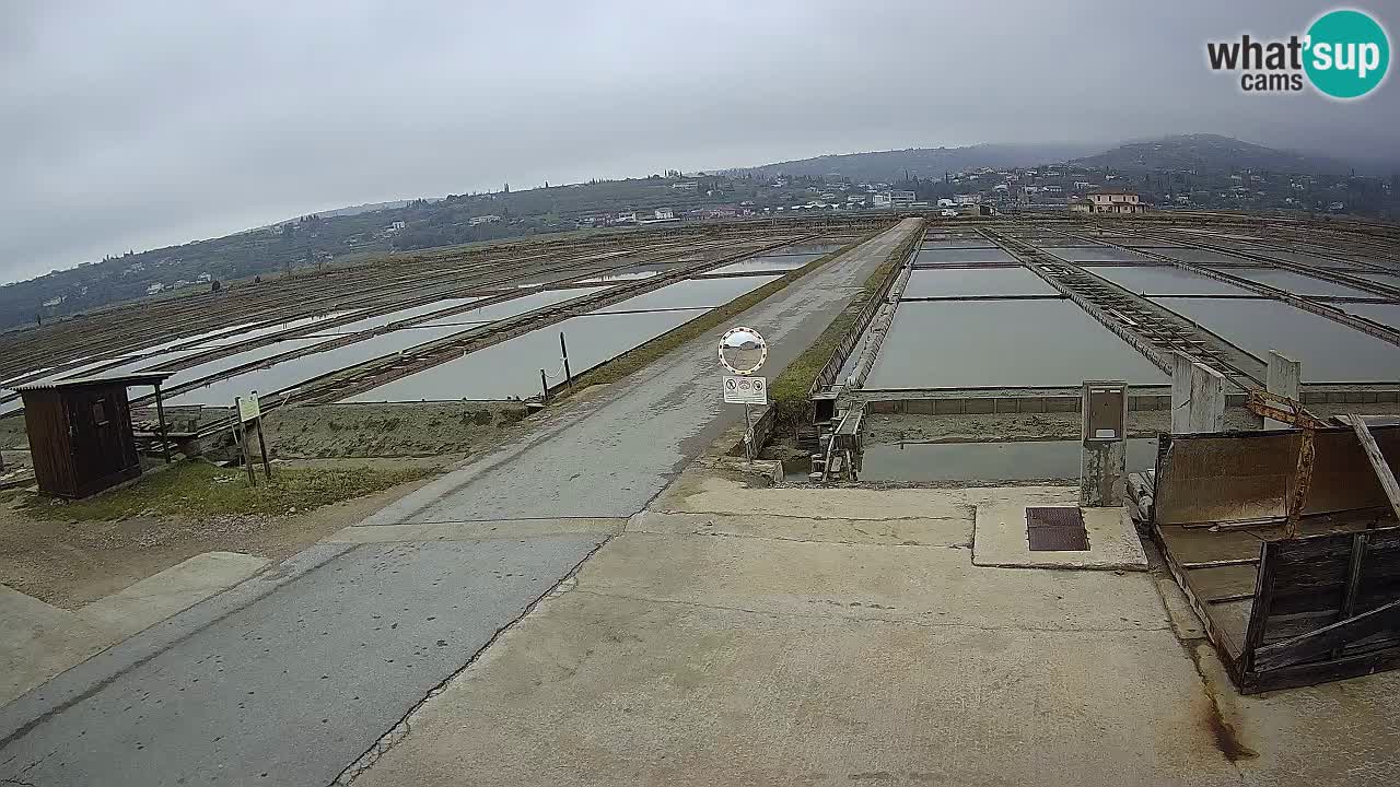 Sečovlje Salina Nature Park