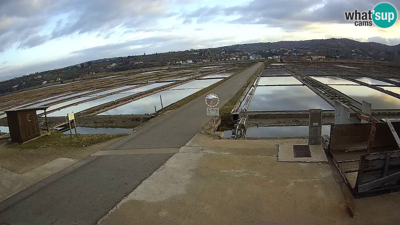 Sečovlje Salina Parque Natural