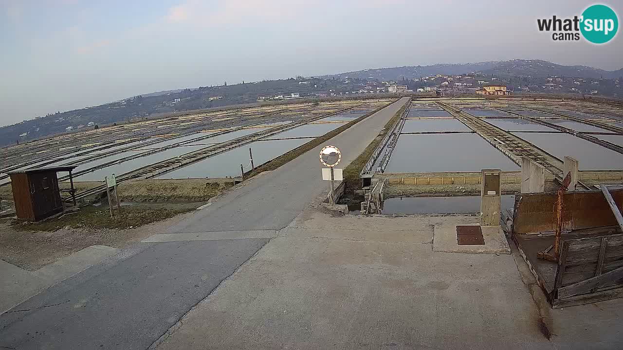 Parco Naturale Saline di Sicciole