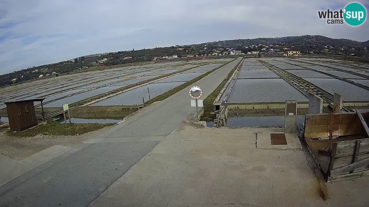 Sečovlje Salina Nature Park