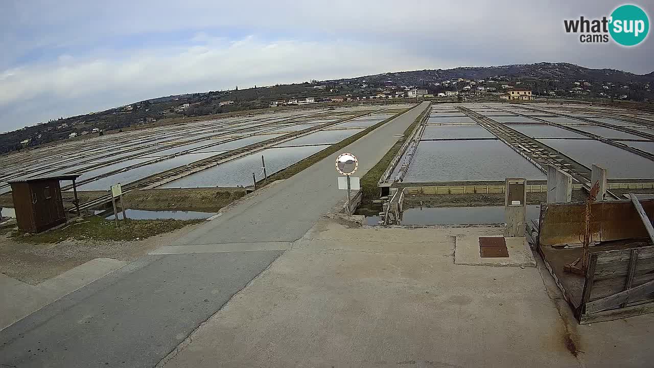 Sečovlje Salina Parque Natural