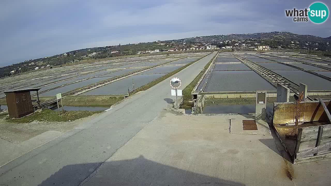 Sečovlje Salina Parque Natural