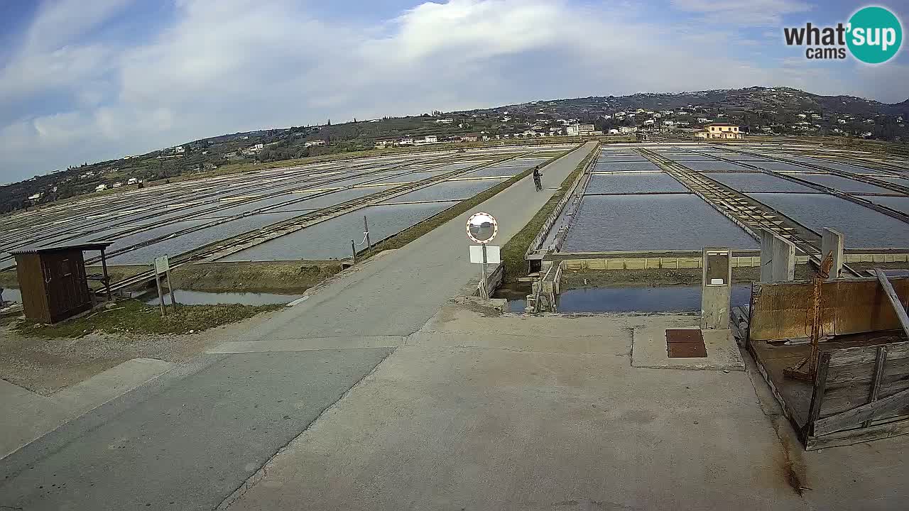 Park prirode Sečovlje Salina