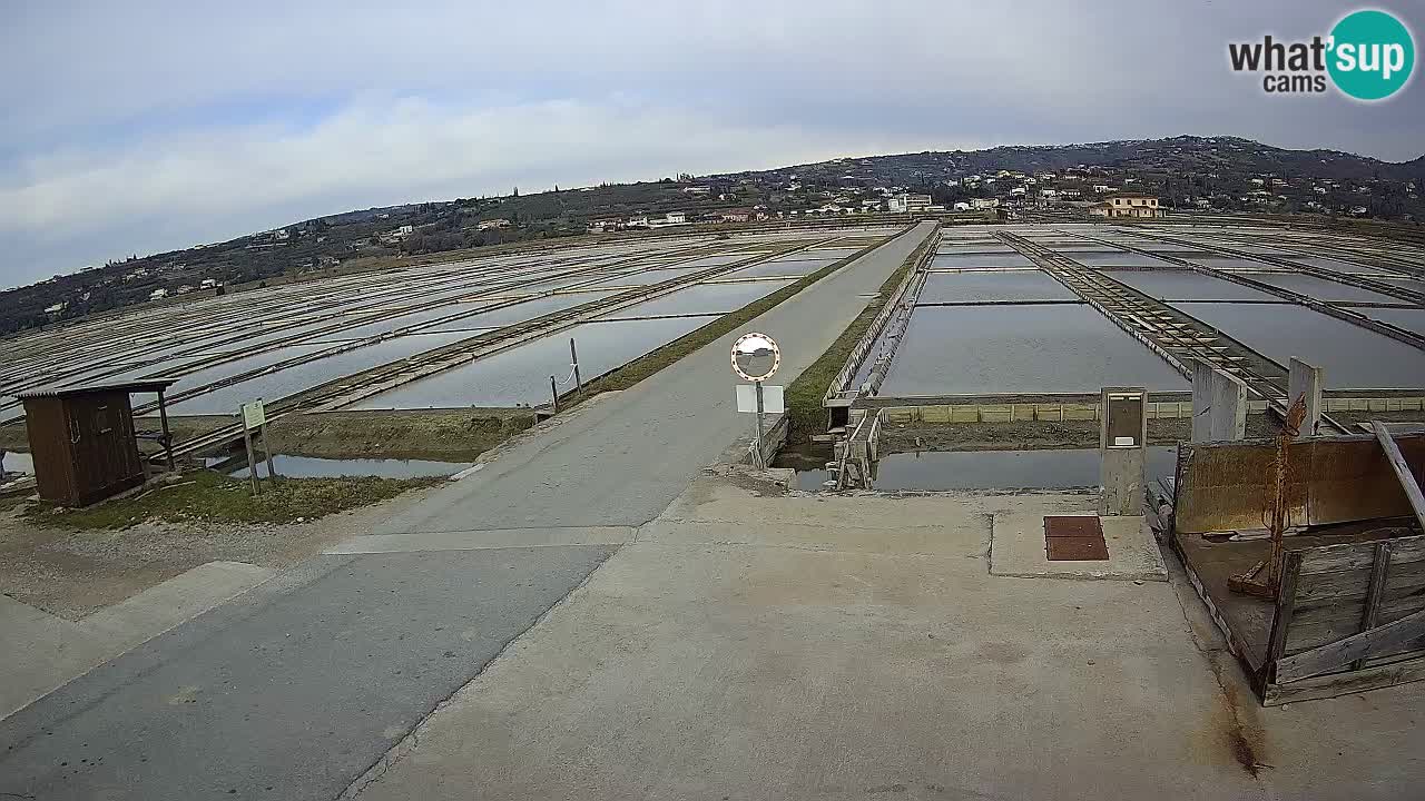 Sečovlje Salina Parque Natural