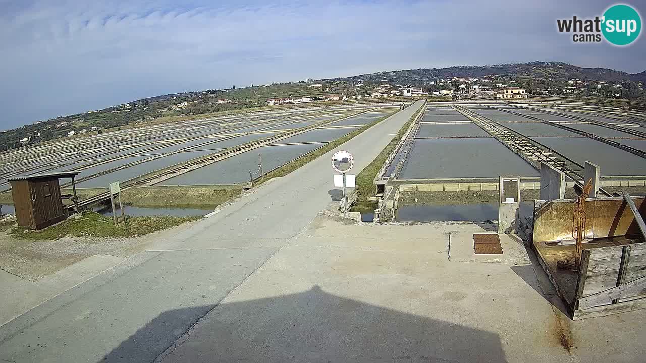 Park prirode Sečovlje Salina