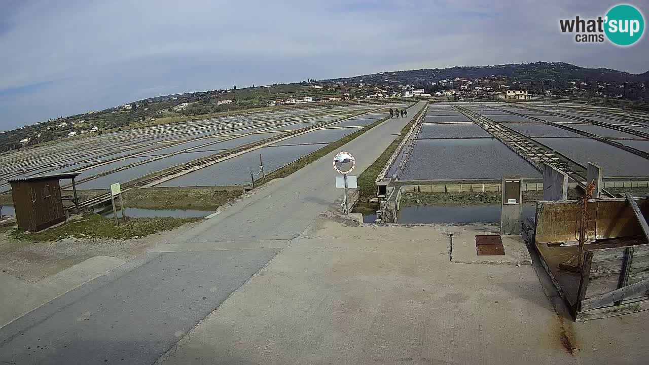 Park prirode Sečovlje Salina