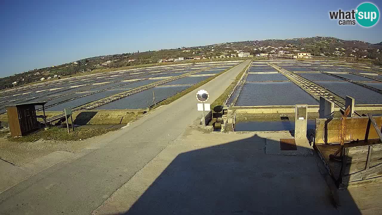 Krajinski Park Sečoveljske Soline