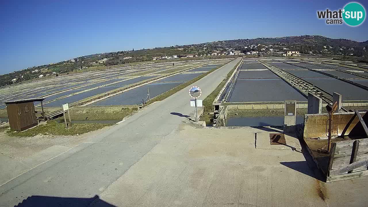 Sečovlje Salina Parque Natural