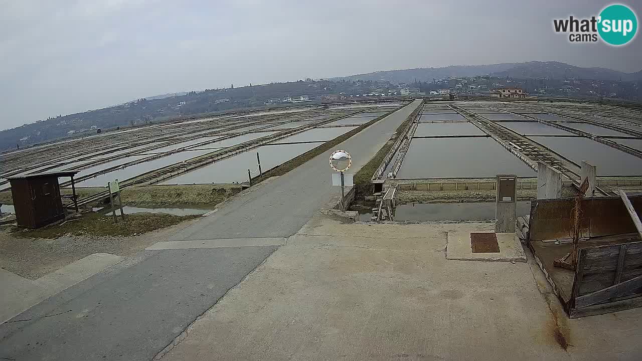 Sečovlje Salina Parque Natural