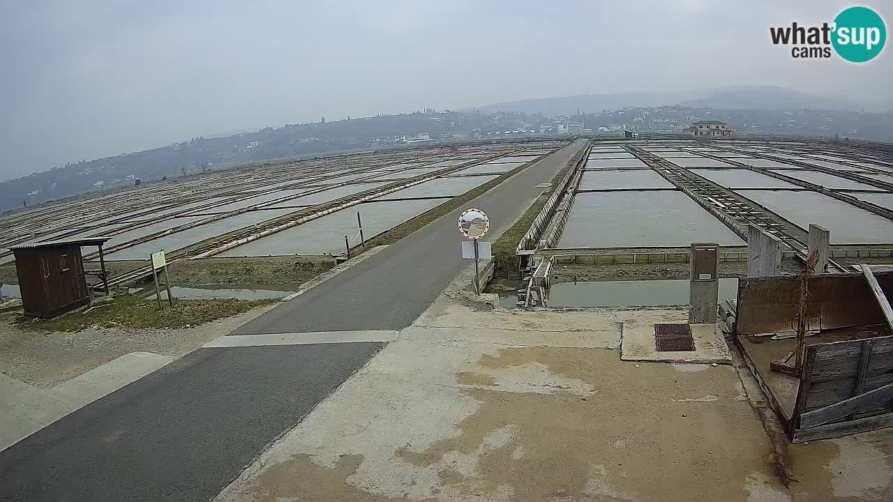 ﻿Sečovlje Salina Nature Park – KPSS