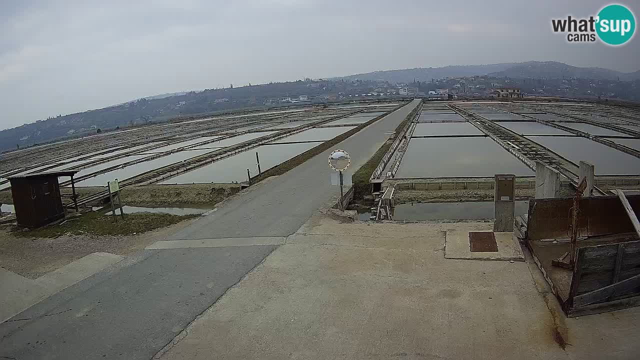 Sečovlje Salina Parque Natural