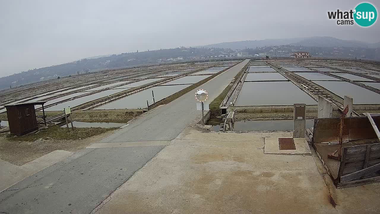 Sečovlje Salina Parque Natural