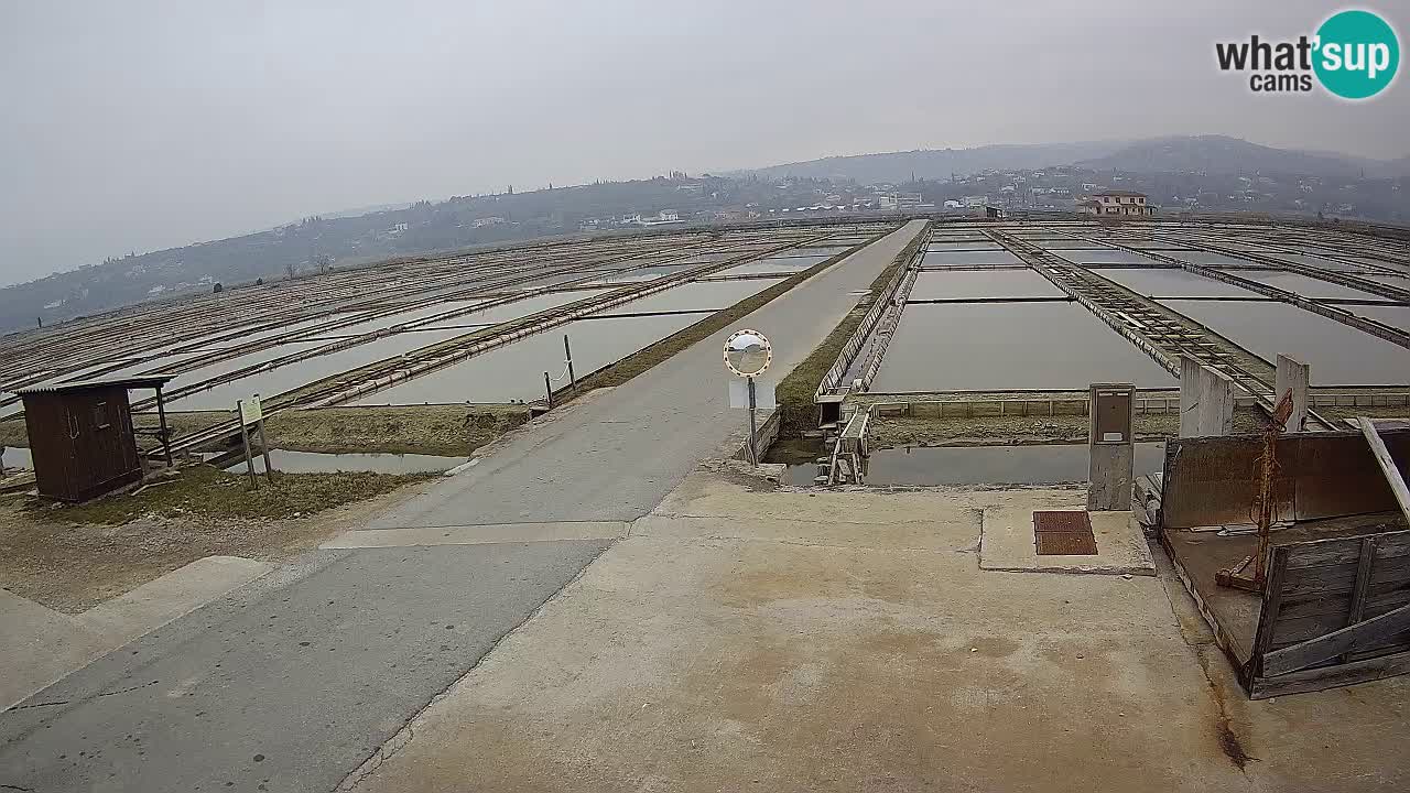 Park prirode Sečovlje Salina