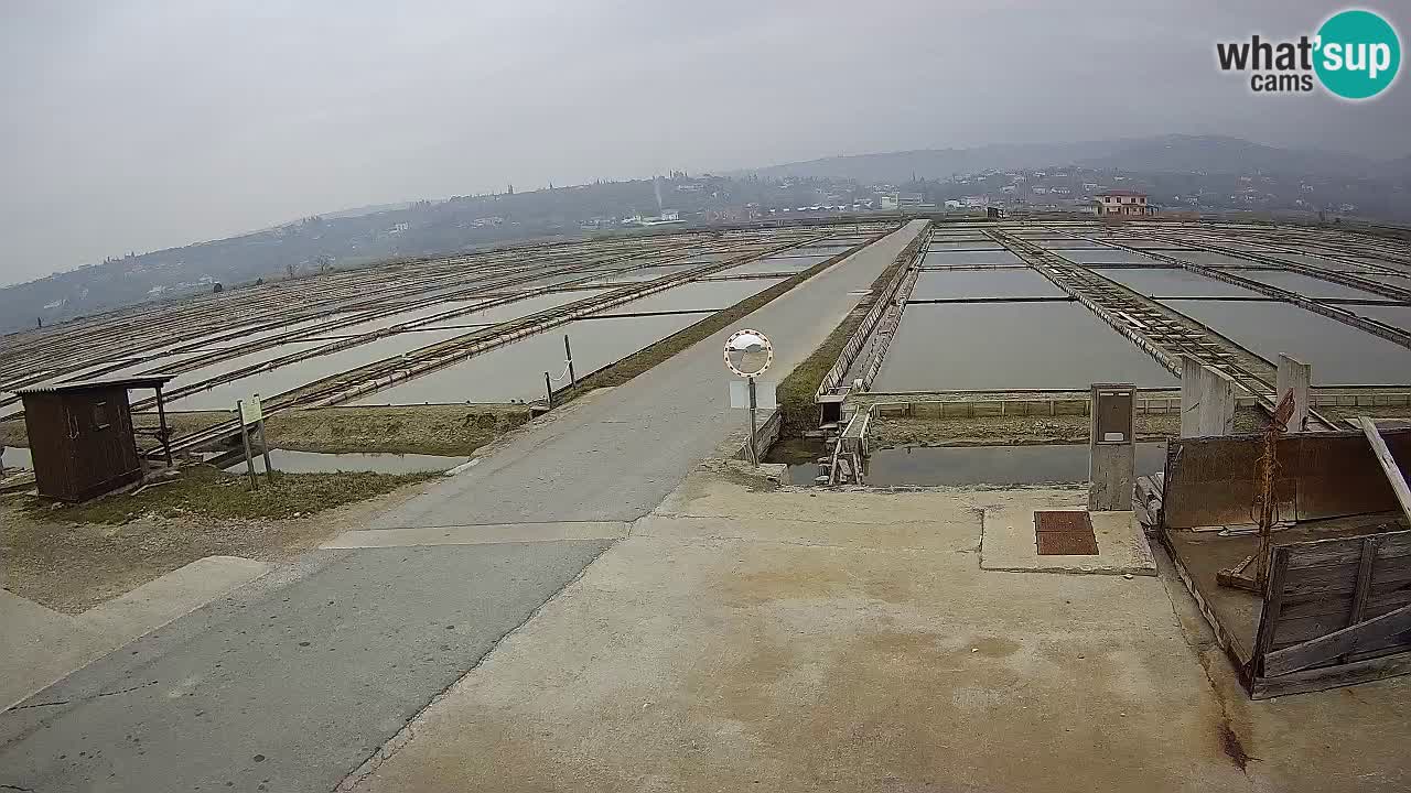 Parco Naturale Saline di Sicciole