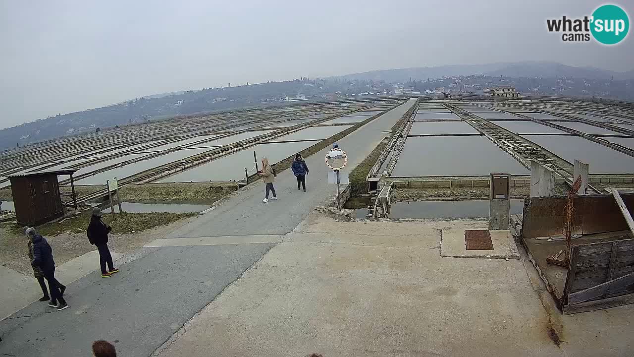 Sečovlje Salina Nature Park