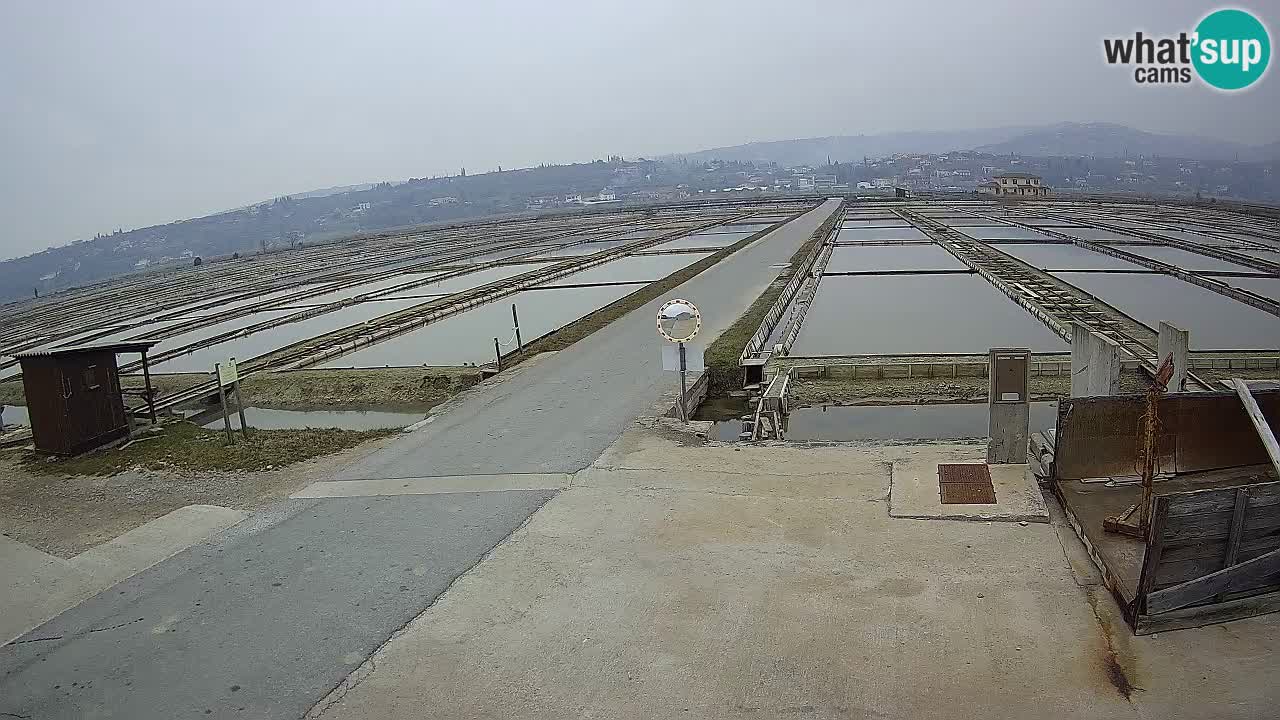 Sečovlje Salina Parque Natural