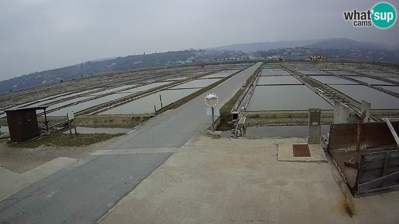 Parco Naturale Saline di Sicciole