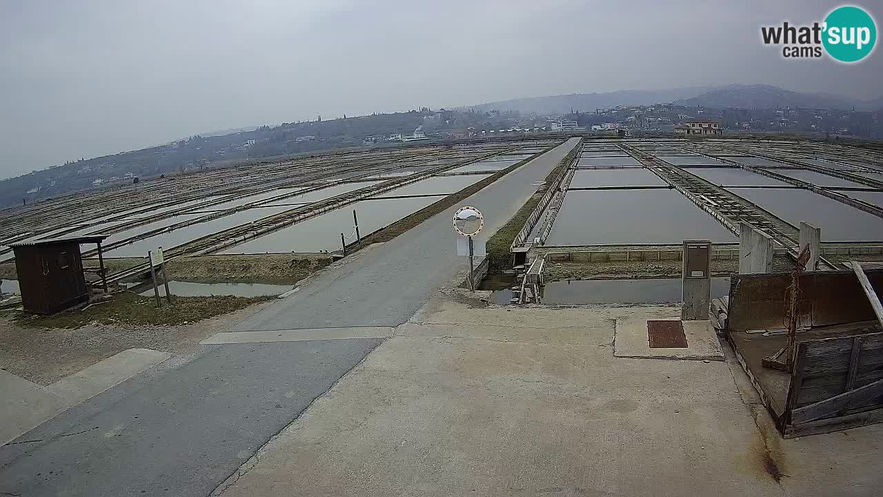 Parco Naturale Saline di Sicciole