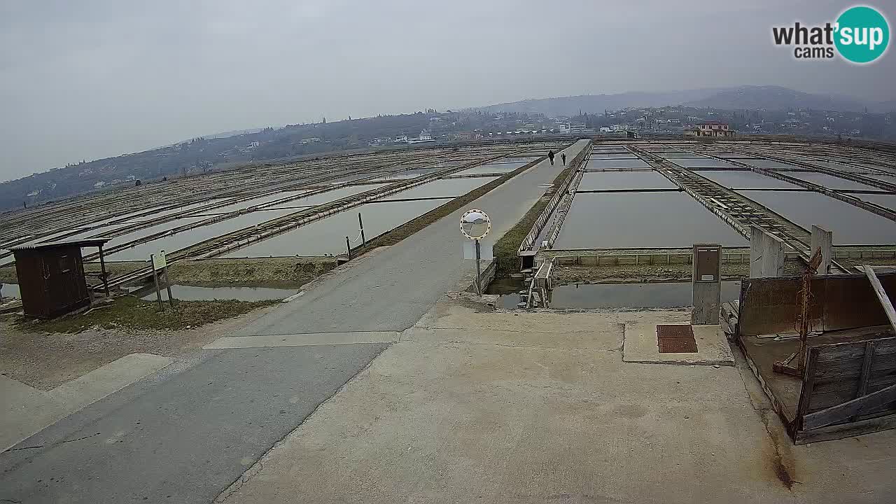 Parco Naturale Saline di Sicciole