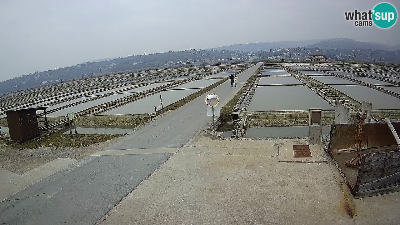 Parco Naturale Saline di Sicciole