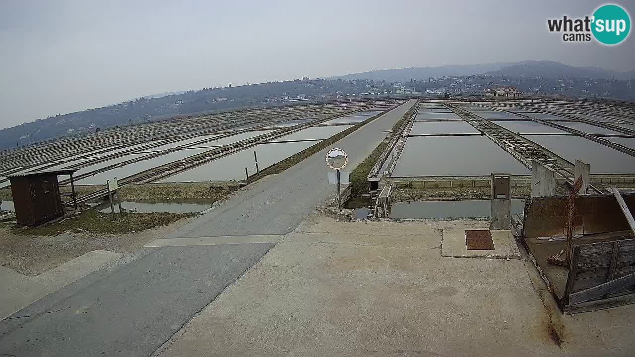 Parco Naturale Saline di Sicciole