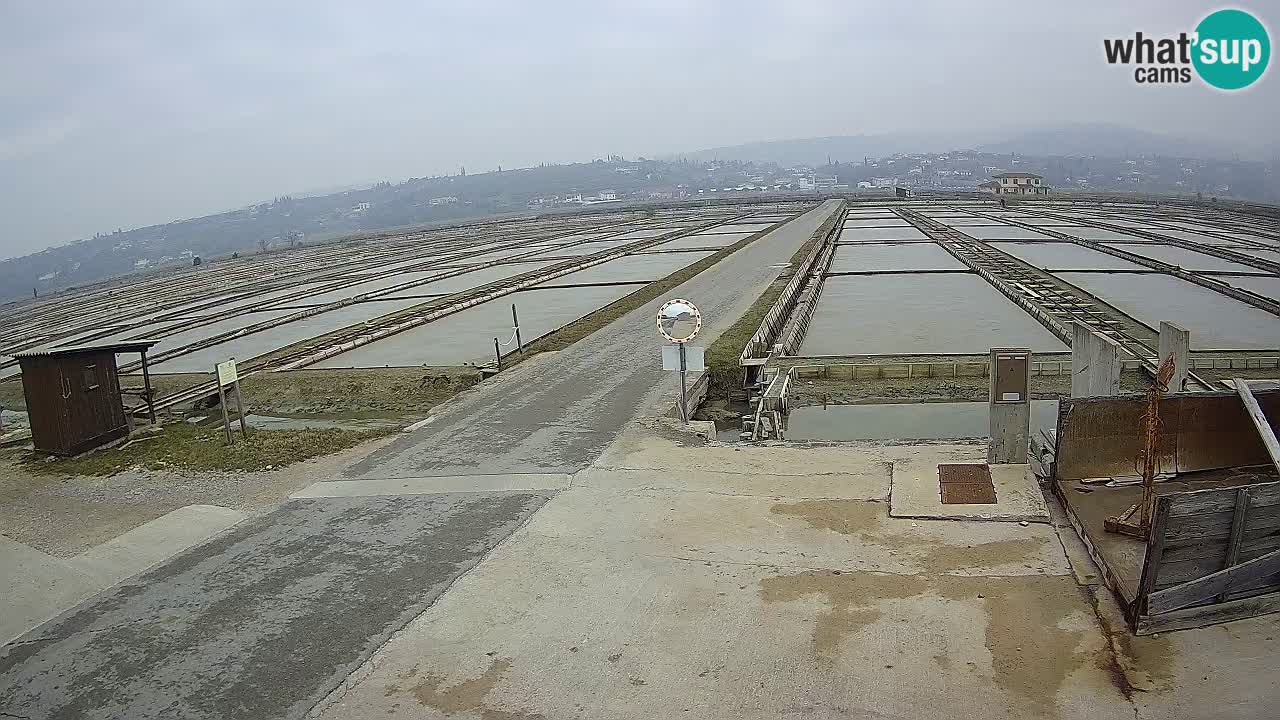 Sečovlje Salina Parque Natural