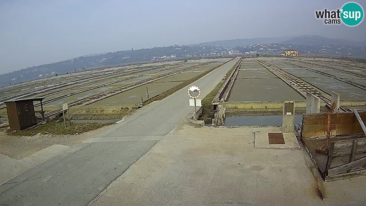 Sečovlje Salina Nature Park