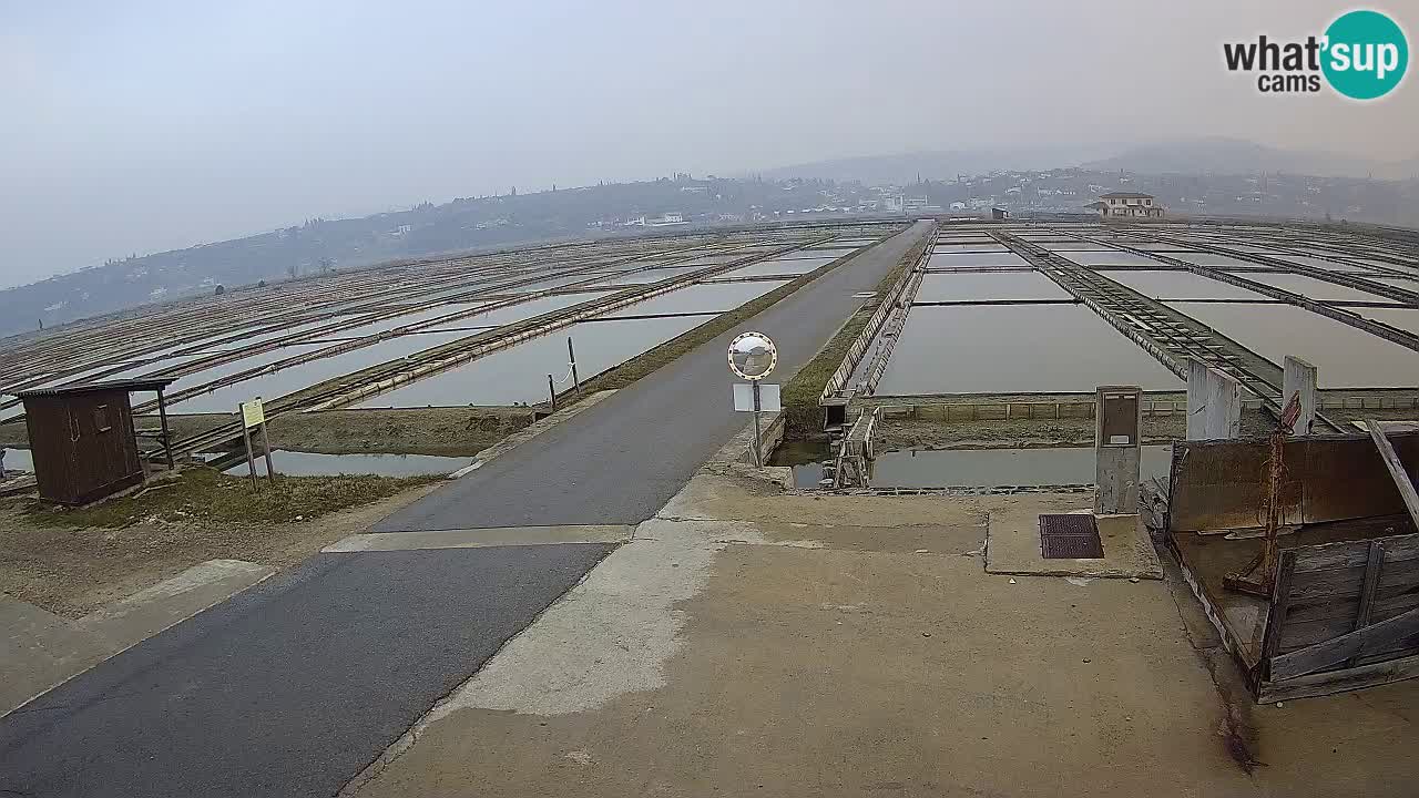 Sečovlje Salina Parque Natural