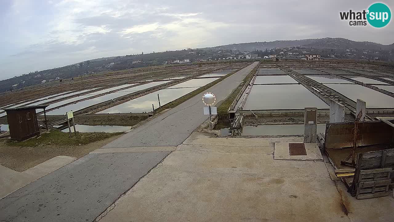 Park prirode Sečovlje Salina