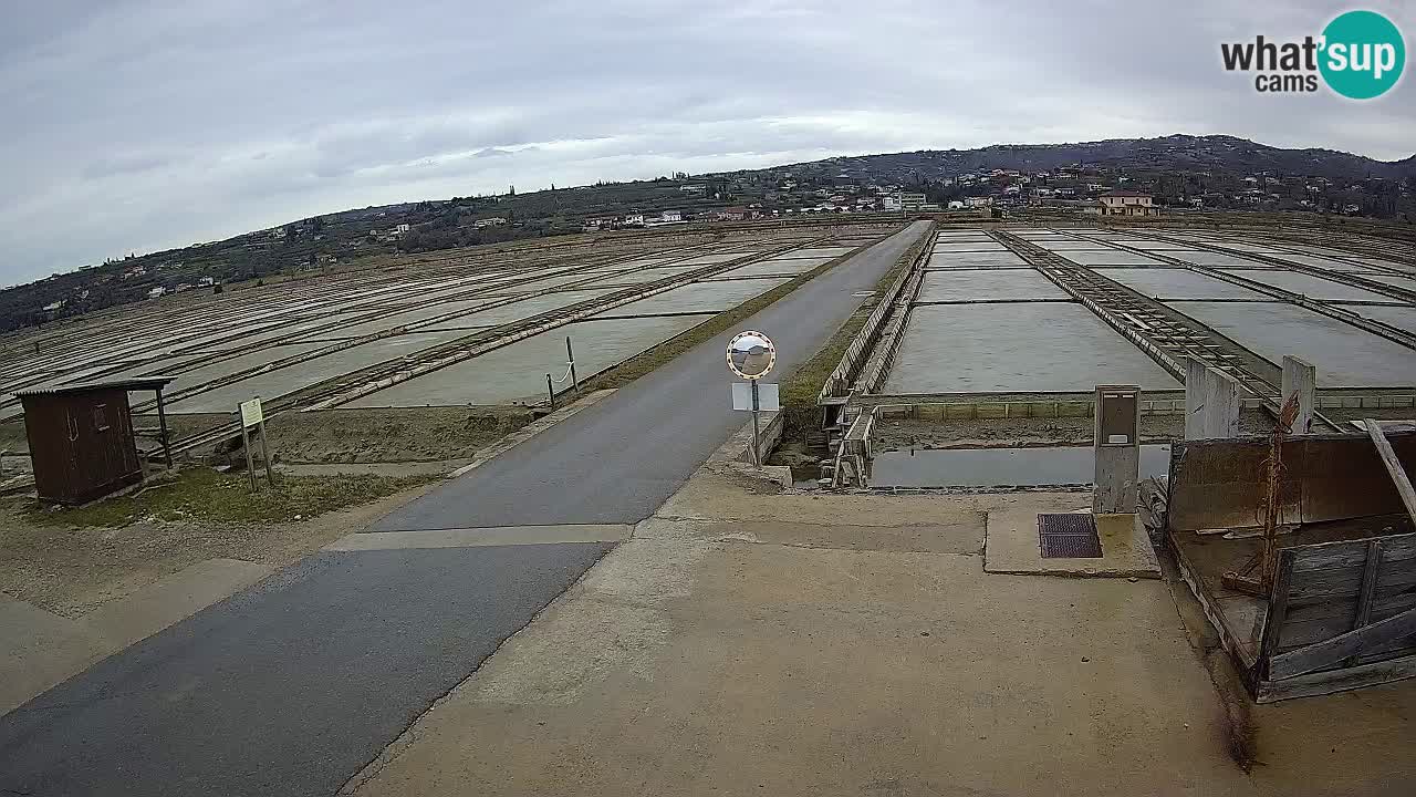 Sečovlje Salina Parque Natural