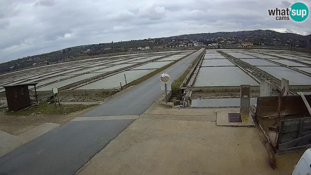 Park prirode Sečovlje Salina