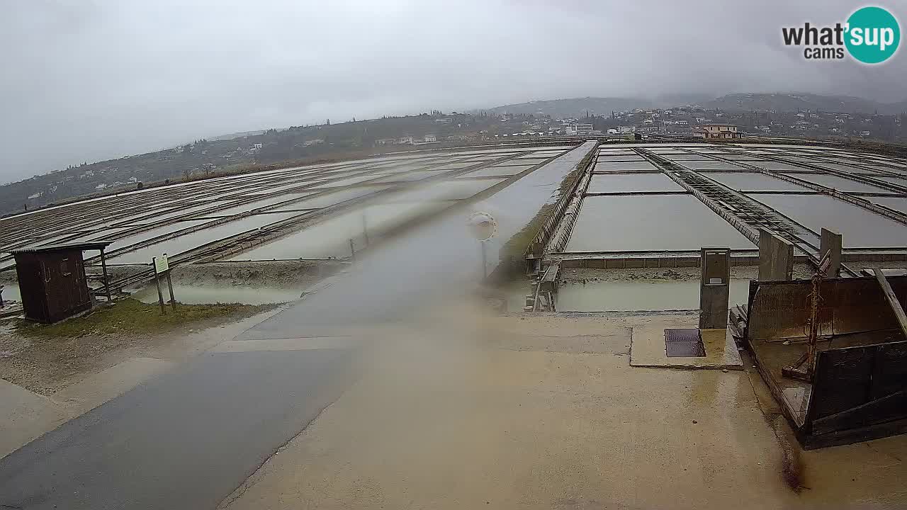 Sečovlje Salina Parque Natural