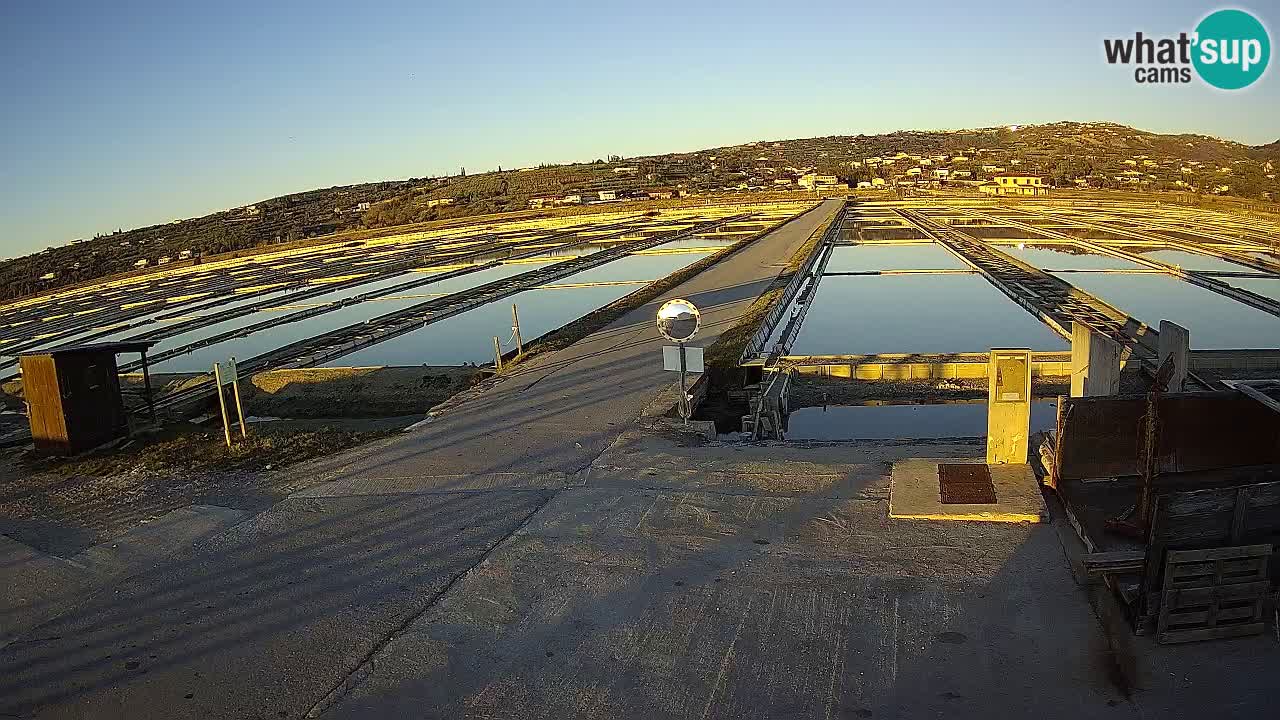 Krajinski Park Sečoveljske Soline