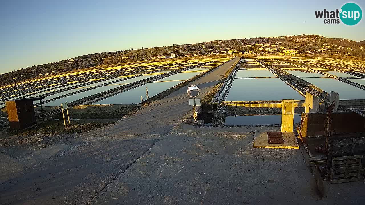 Krajinski Park Sečoveljske Soline