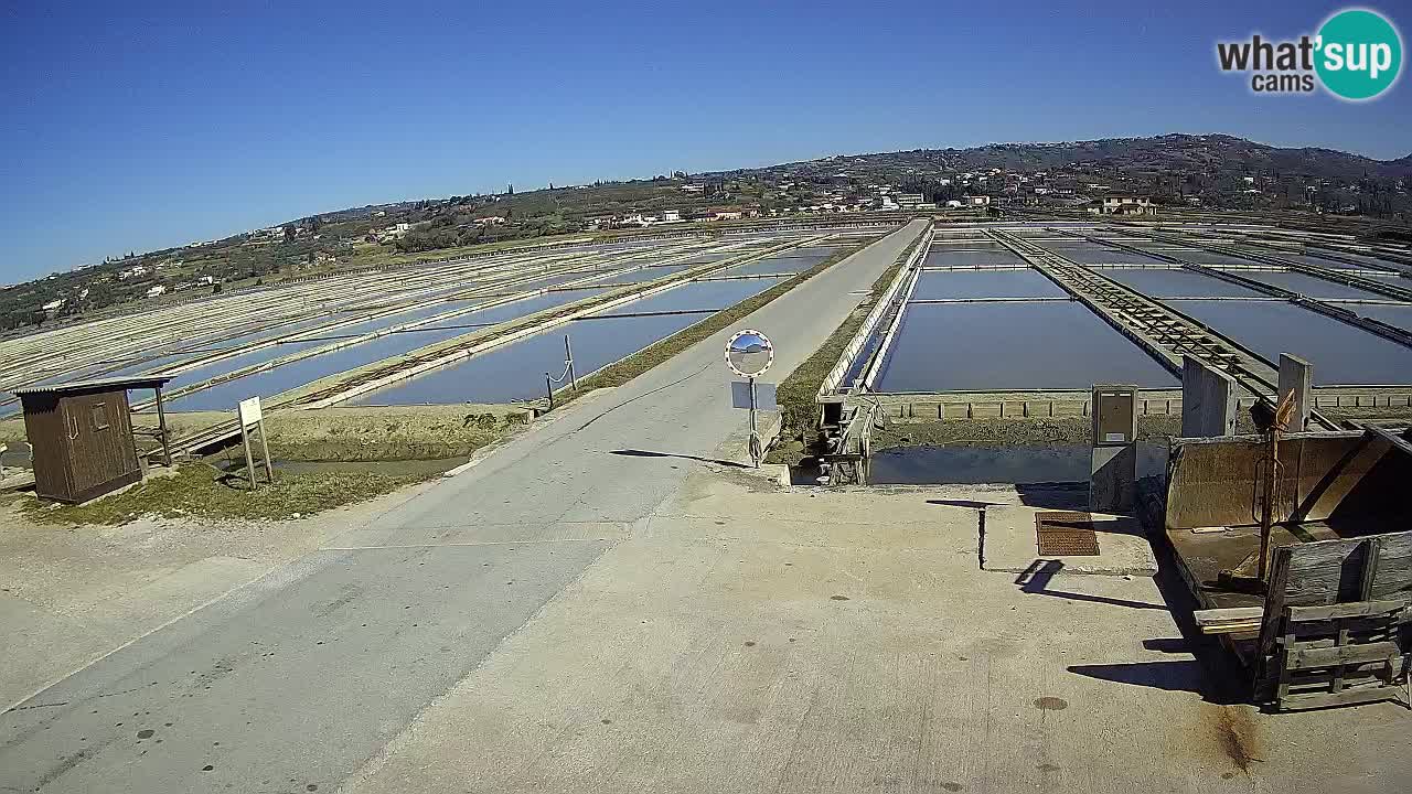 Sečovlje Salina Nature Park