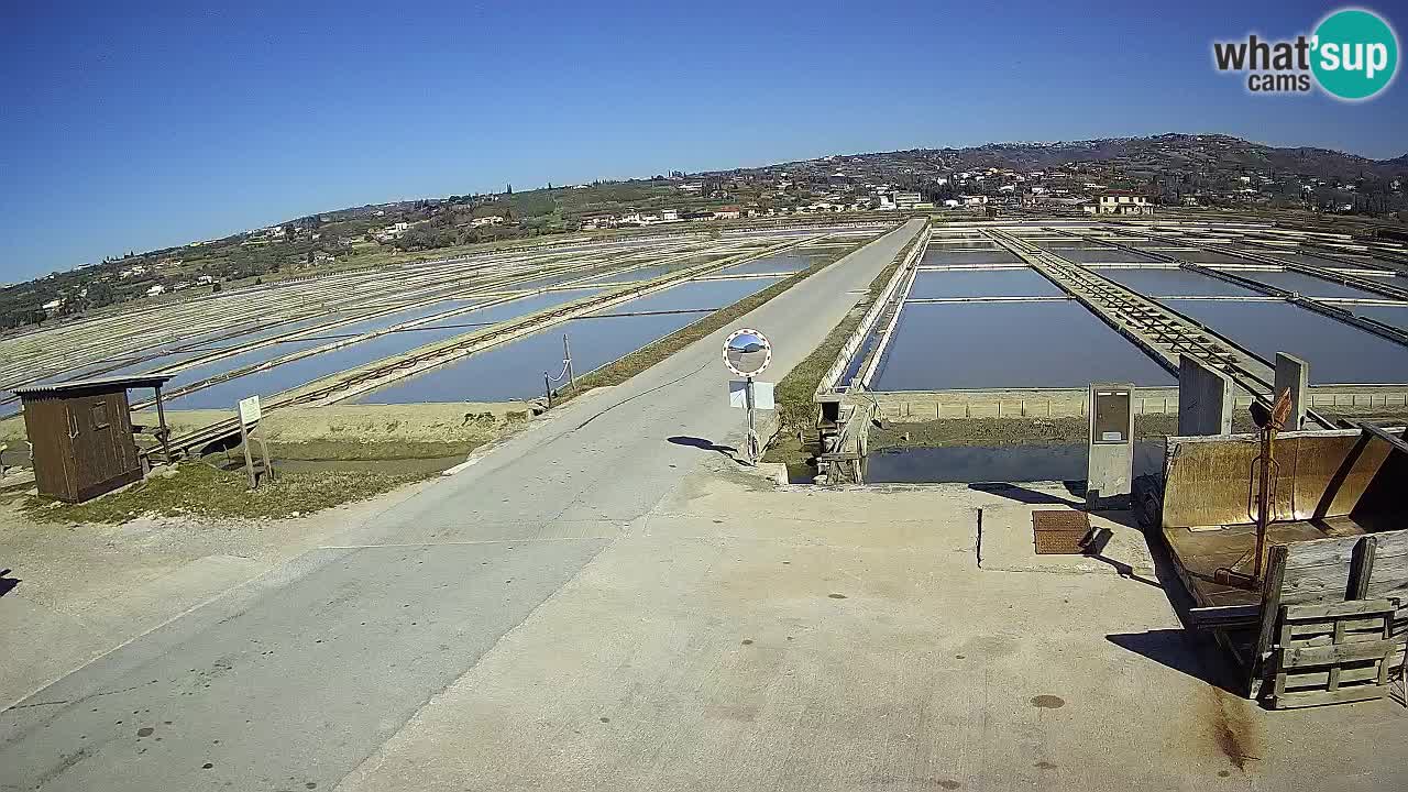 Krajinski Park Sečoveljske Soline