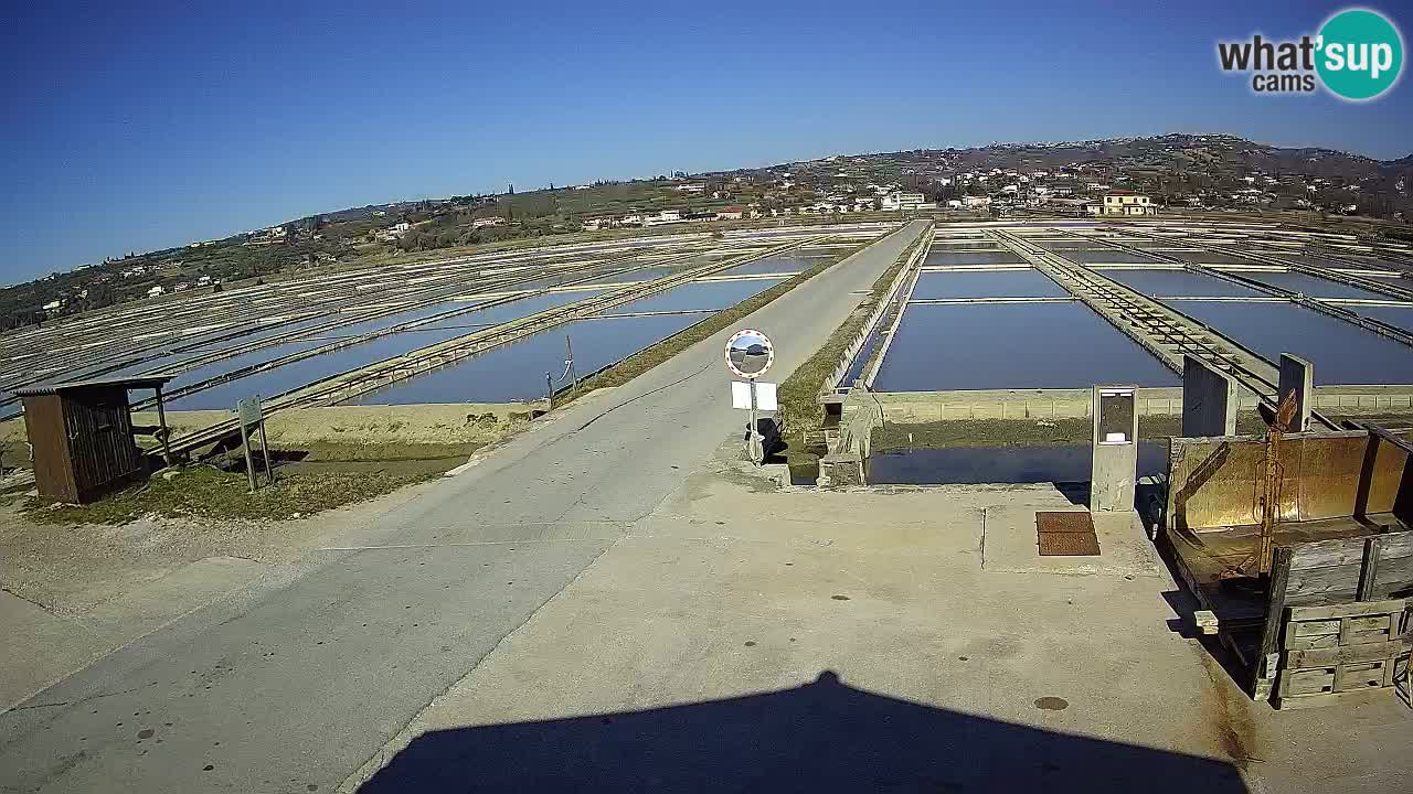 Park prirode Sečovlje Salina