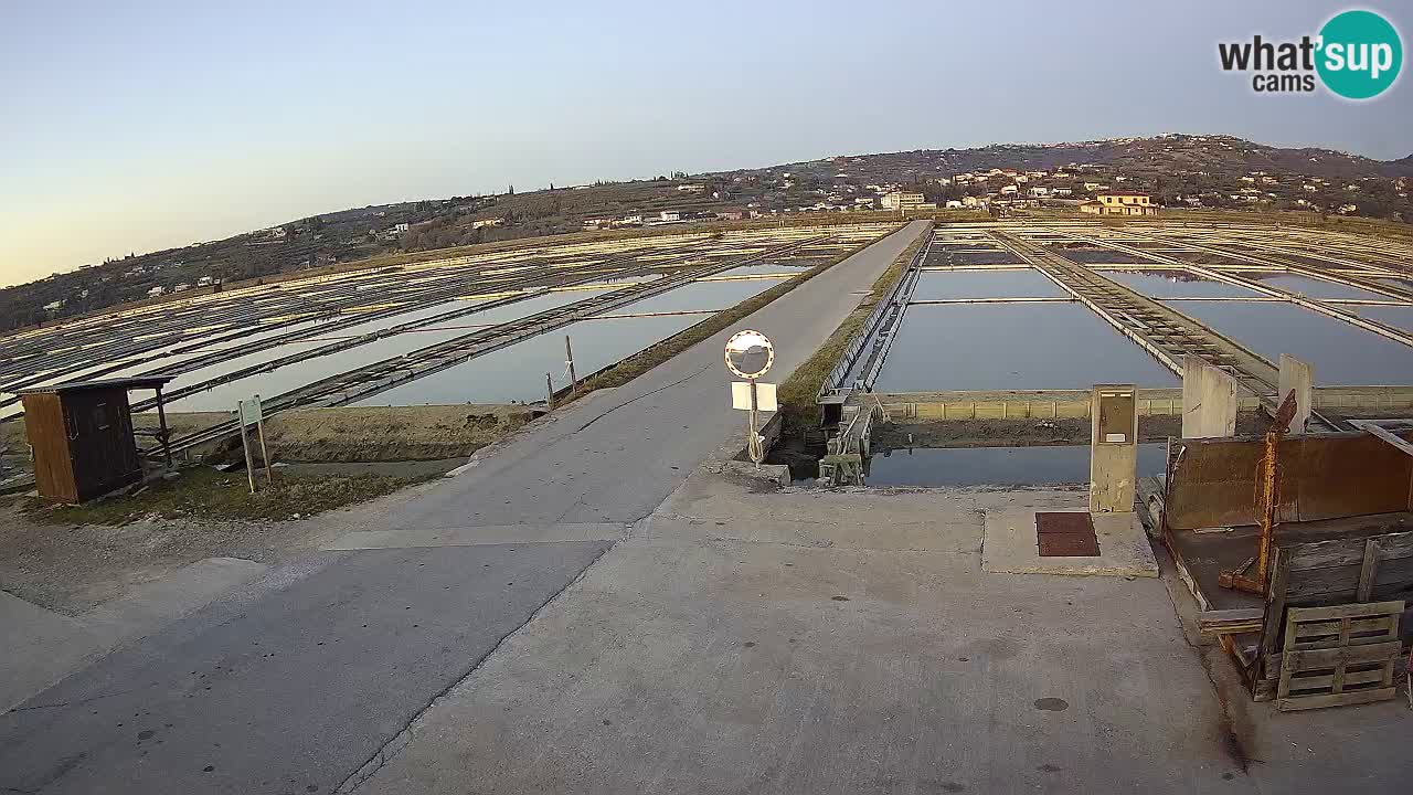 ﻿Sečovlje Salina Nature Park – KPSS