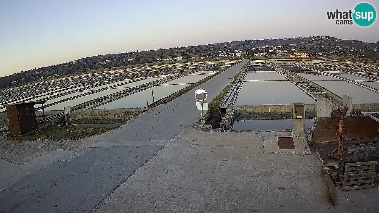 Park prirode Sečovlje Salina