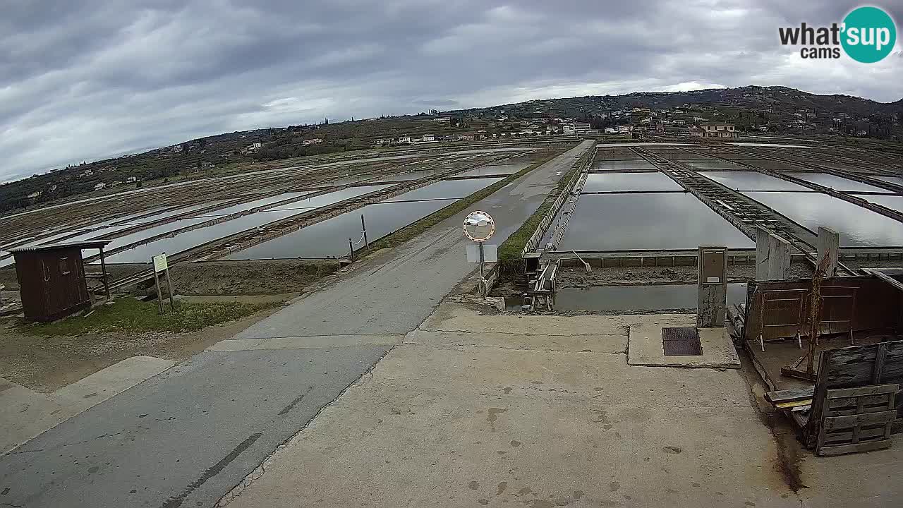 Sečovlje Salina Nature Park