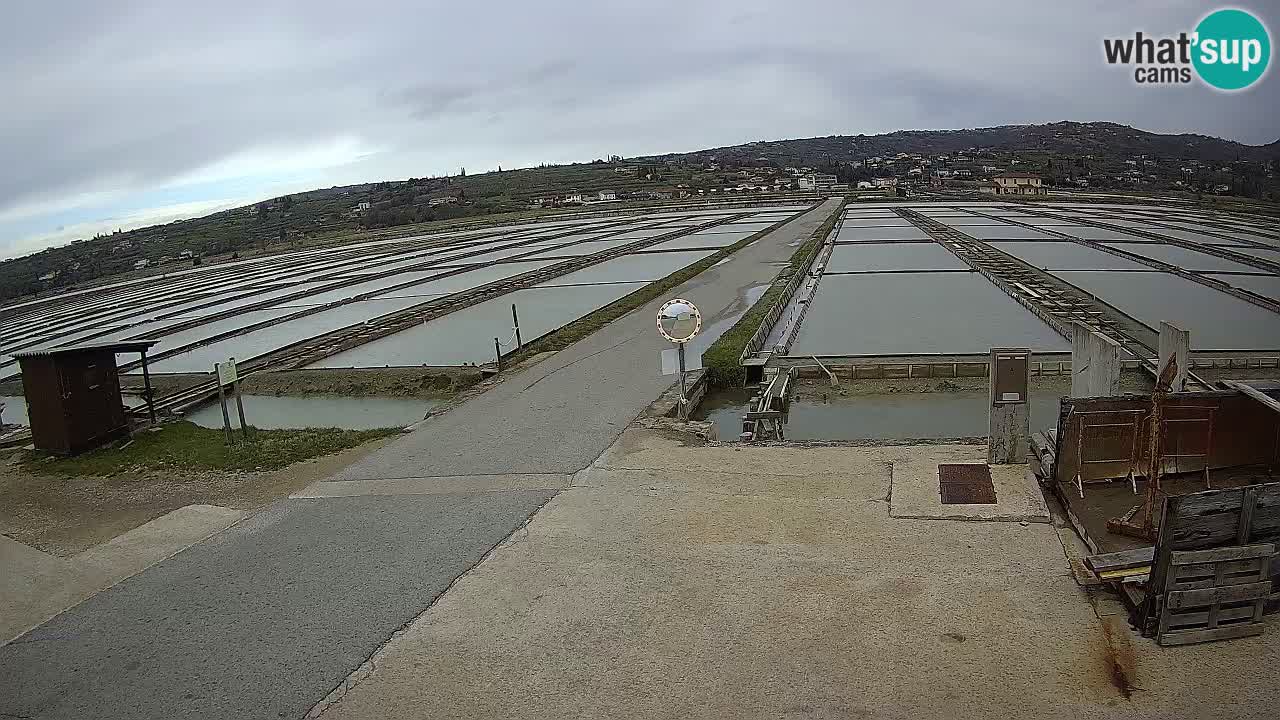 Sečovlje Salina Parque Natural