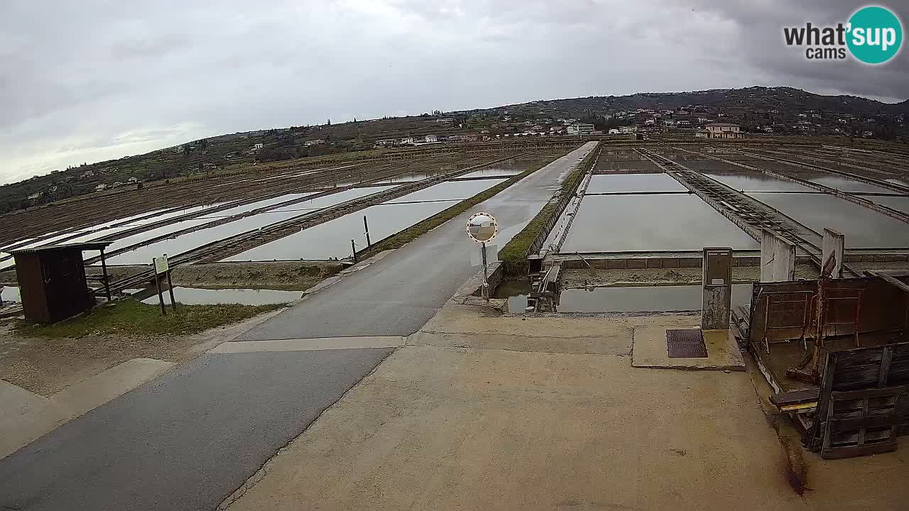 Sečovlje Salina Nature Park