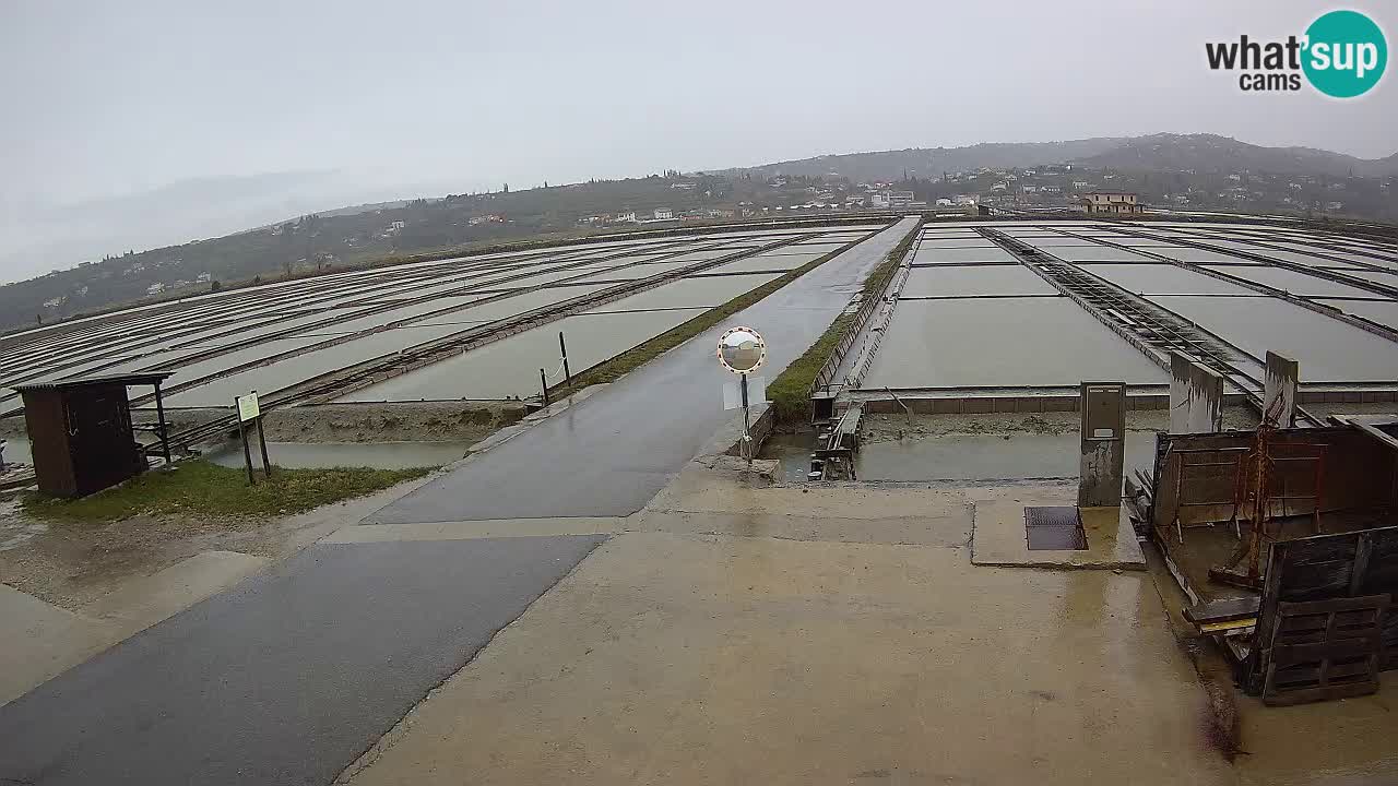 Sečovlje Salina Nature Park