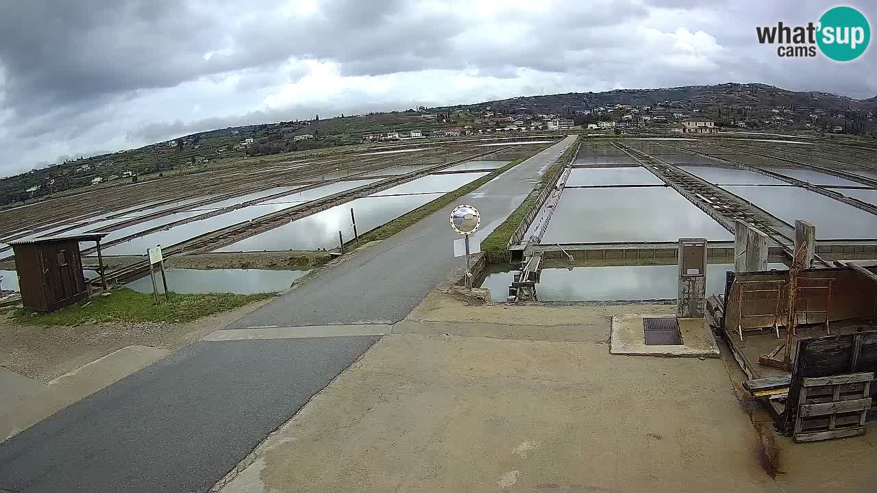 Sečovlje Salina Parque Natural