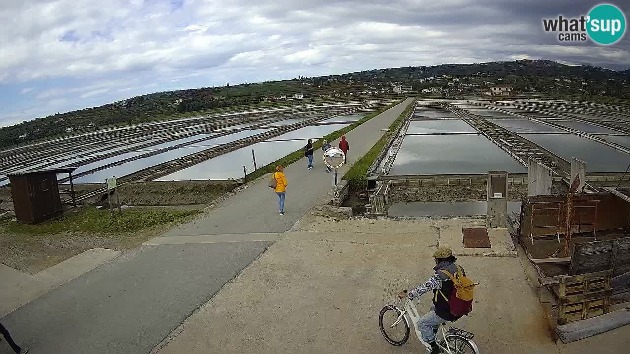 Parco Naturale Saline di Sicciole